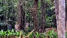 कामना का सच || आचार्य प्रशांत