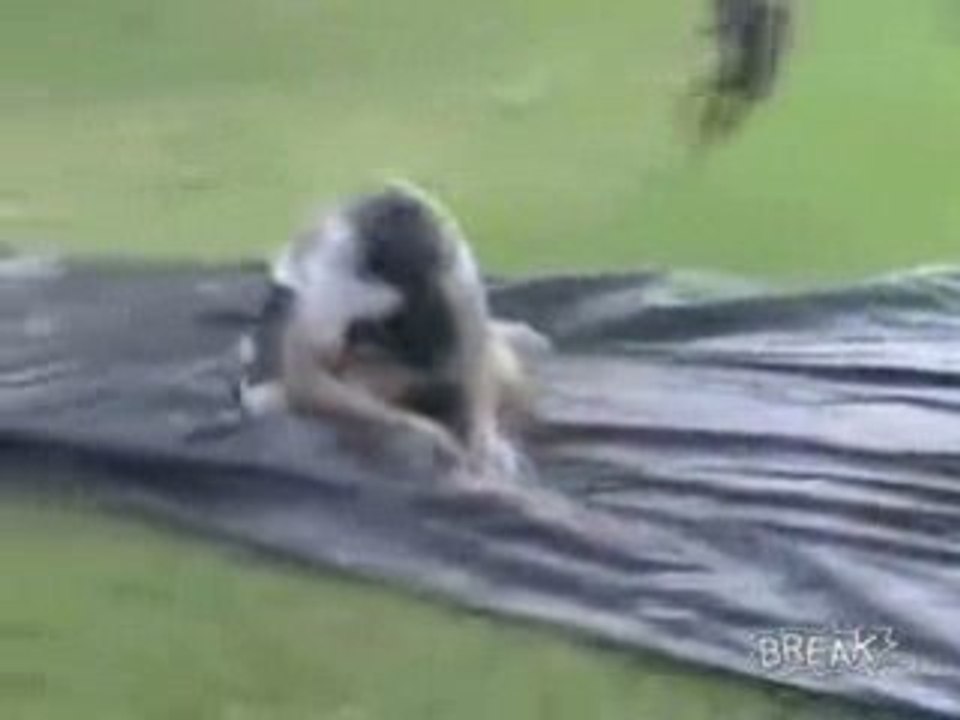 Slip And Slide Take Off