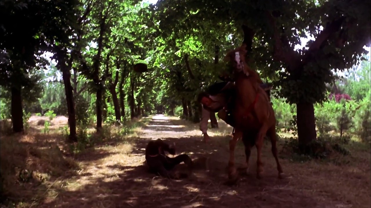 Inquisición 1977 Full Movie