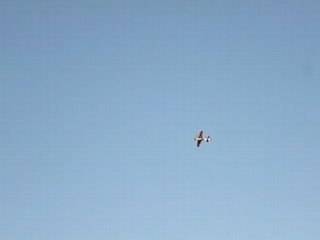 3 eme vol extra 2.12 C arf DL50 reso KS 1060 mejzlik 22 8