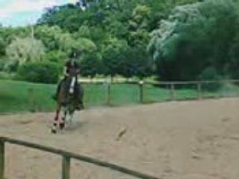 VID009