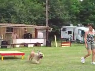 Agility 1ere partie