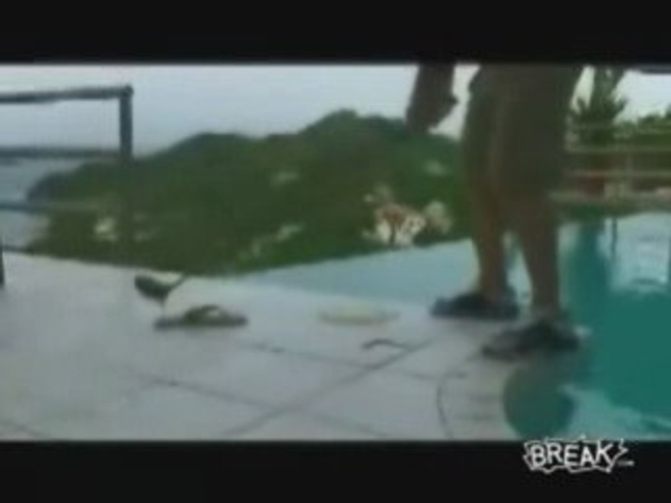 Rough Golf Shot