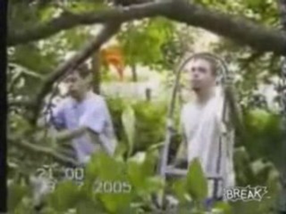 Cutting Down A Tree Branch