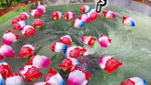 🌪️🌪️ Lots of cars swirl overs the Whirlpool. Whirlpool. whirlpool experiments.