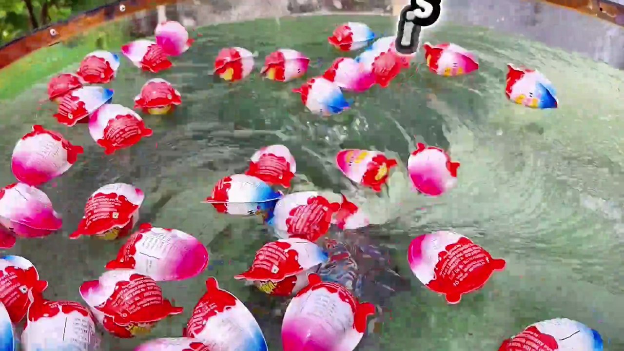 🌪️🌪️ Lots of cars swirl overs the Whirlpool. Whirlpool. whirlpool experiments.