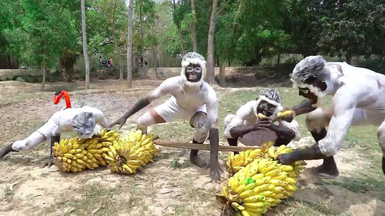 Monkey Special  Trending Funny Comedy Video 😂Amazing Comedy Video