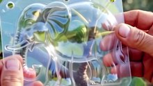 Elephant-Shaped Fig Growing Inside a Transparent Mold! 🐘🍈 | Amazing Time-Lapse Farming #Shorts