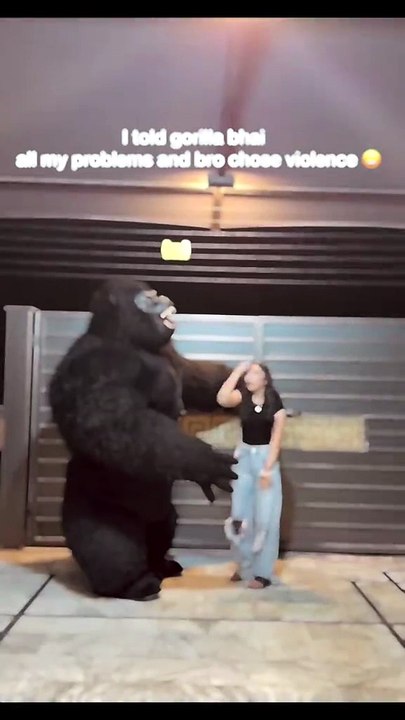 Funny videos 📸