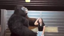 Funny videos 📸