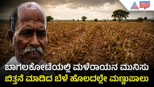 Bagalkot Rain Deficit: ಮಳೆ ನಂಬಿ ಕೈ ಸುಟ್ಟುಕೊಂಡ ಅನ್ನದಾತ! ಬಾಗಲಕೋಟೆ ಜಿಲ್ಲೆಯಲ್ಲಿ ಬರಗಾಲದ ಭೀತಿ| SuvarnaNews