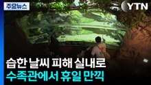 무시한 상어가 발밑에...수족관 나들이 즐겨요! / YTN