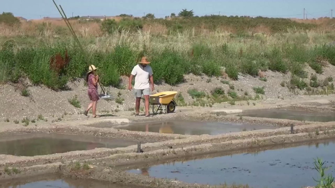 L'île d'Oléron ravive ses marais salants