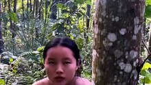 Eat rare fruits in the forest