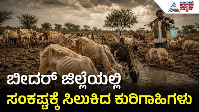 Karnataka Drought: ಬೀದರ್ ಜಿಲ್ಲೆಯಲ್ಲಿ ಹೊಲಸು ನೀರು ಕುಡಿದು ಸಾಯುತ್ತಿರುವ ಕುರಿಗಳು | Suvarna News