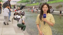 [날씨] 산발적인 비와 무더위 반복...내일도 비슷한 날씨 / YTN