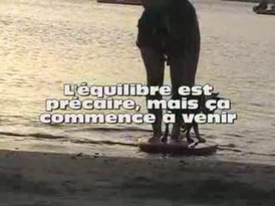 Le surf