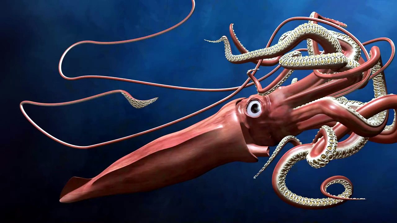 Could Underwater Volcanoes Force a Colossal Squid to the Surface?