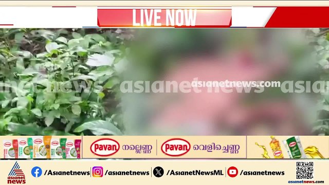 റാന്നിയിൽ സൂപ്പർമാർക്കറ്റിലേക്ക് കയറി സ്ത്രീയെ ആക്രമിച്ച കാട്ടുപന്നിയെ വെടിവെച്ചു കൊന്നു