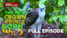 A New Young Crown Prince Takes Its First Flight in the Wild | Born To Be Wild (Full Episode)