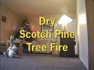 Sapin de noel en feu