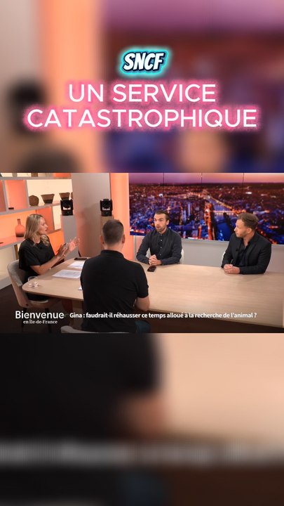 SNCF : UN SERVICE CATASTROPHIQUE