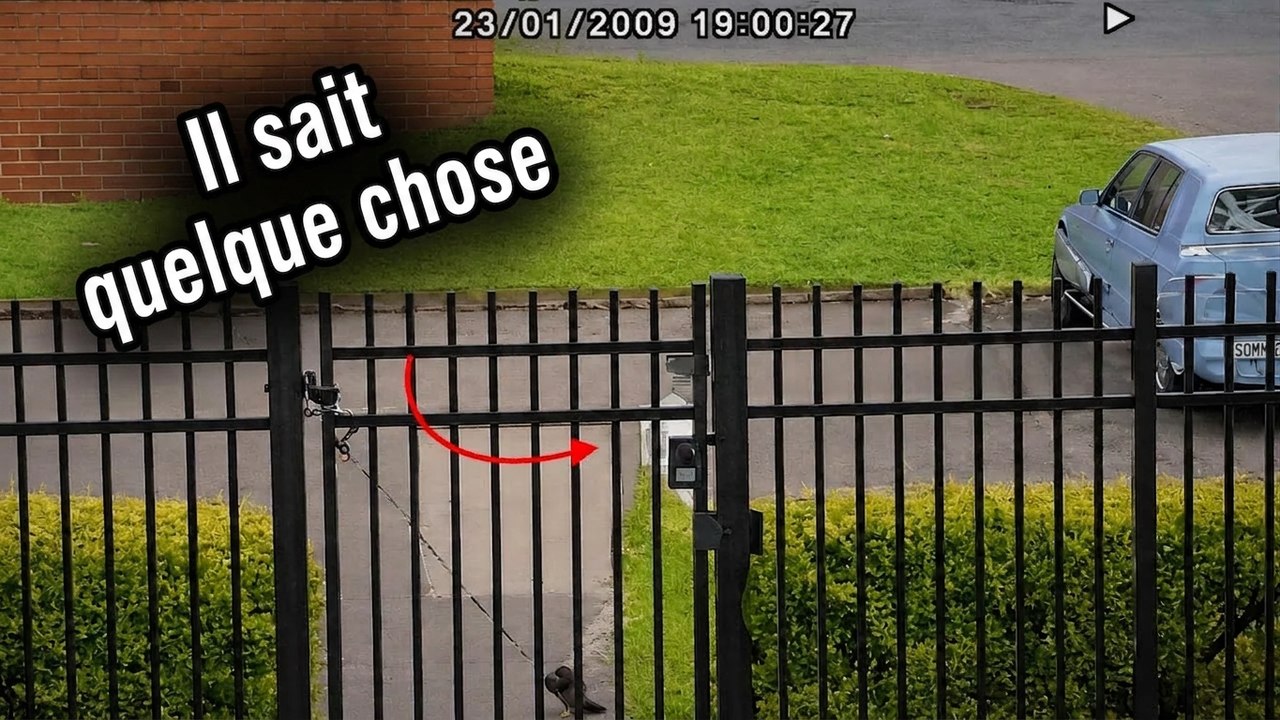 La police a laissé tomber... Ses parents ont repris cette affaire non résolue