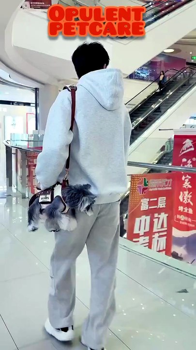 HIPIPET Hands-Free Dog Carrier Bag – Portable Pet Sling for Walking & Travel