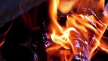¿Puede volver a nacer una civilización tras la extinción de la humanidad?