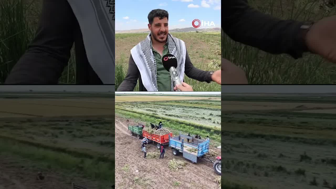 Evlilik hayaline başlık parası engeli!