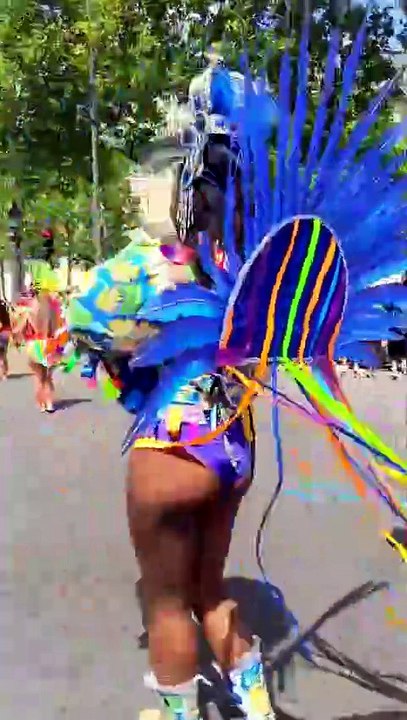 [HEXAGONE] Le Carnaval tropical sur les Champs-Elysées dimanche 5 juillet 1