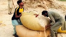 wait for end 😂 #funny #funnyclip #nadeemgujjar #funnymovie #shortfeed🤪