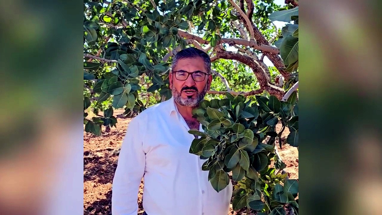 Başkan Faruk Akbaş’tan Yeni Hasat Öncesi Fıstık İthalatına Tepki