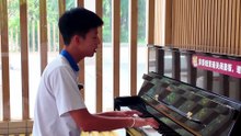 Peaches Cover 🎤 | Smooth Justin Bieber Vibes