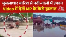 उफनते नाले में बहा बाइक सवार, डूबे घाट... देखें उज्जैन में बारिश का कहर