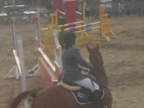 Braives Ethias pony Trophy