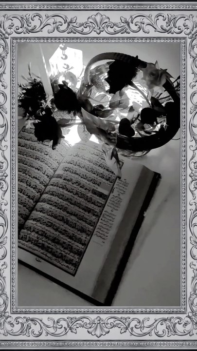 #QuranHarmony #SacredVerses #DivineNoor #NoorRecitation #QuranWhispers #PathOfNoor #FaithRecitation #HeartsInQuran #QuranTreasures