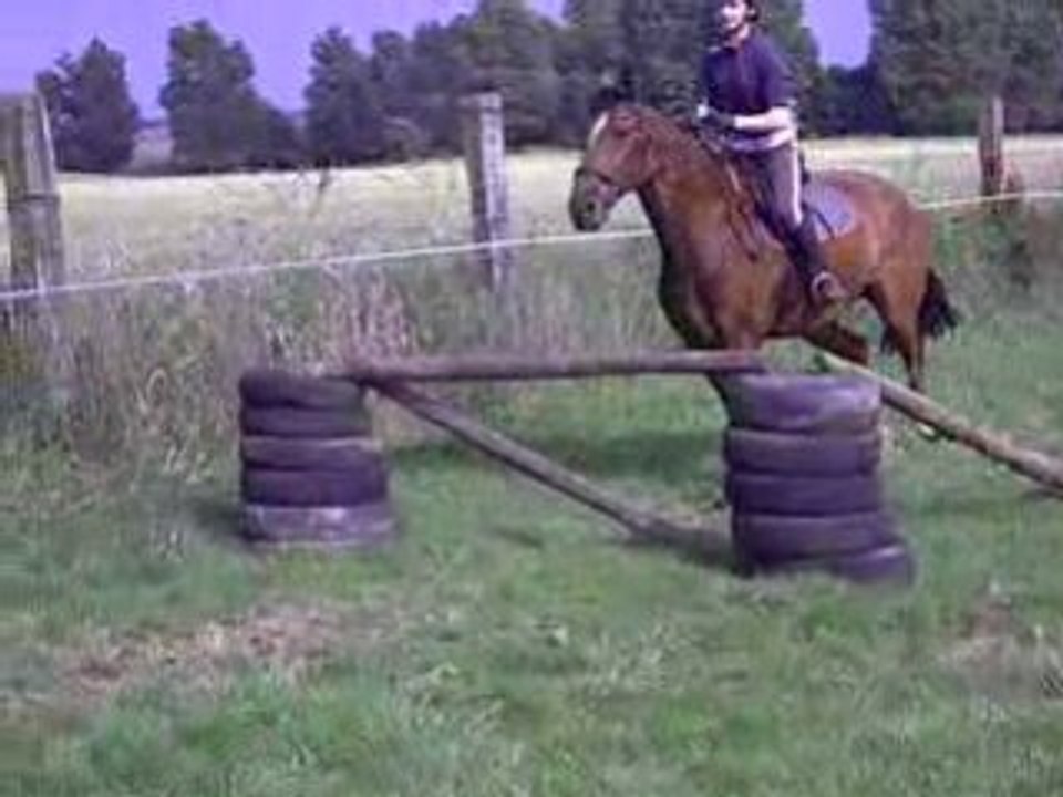 Saut 85 cm environ ^^