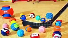 🏒 This Dog Has Better Hockey Skills Than Most Humans! 🐶🔥