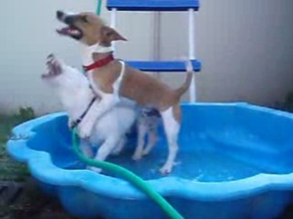 cody & crunch
