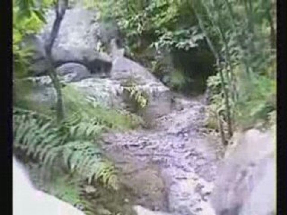 départ des 25 bosses Fontainebleau