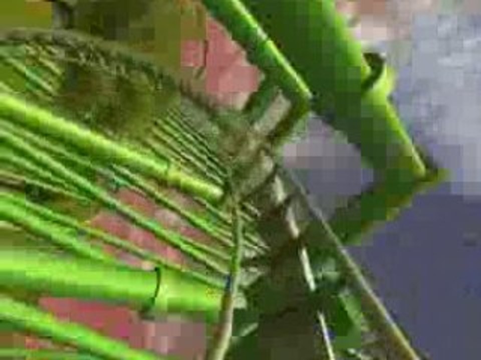 TORNADOWOOD