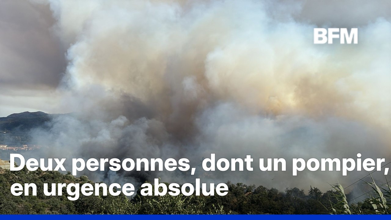 Les images des feux dans les Pyrénées-Orientales et dans le Gard, qui ont parcouru respectivement au moins 1.650 hectares et 350 hectares