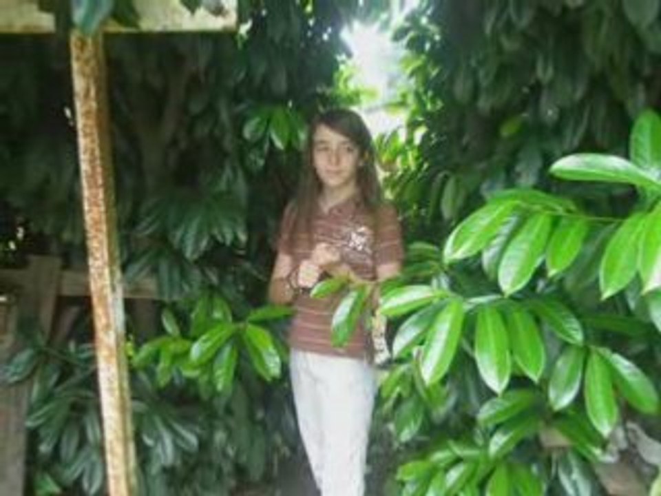 Chez Ma Coco