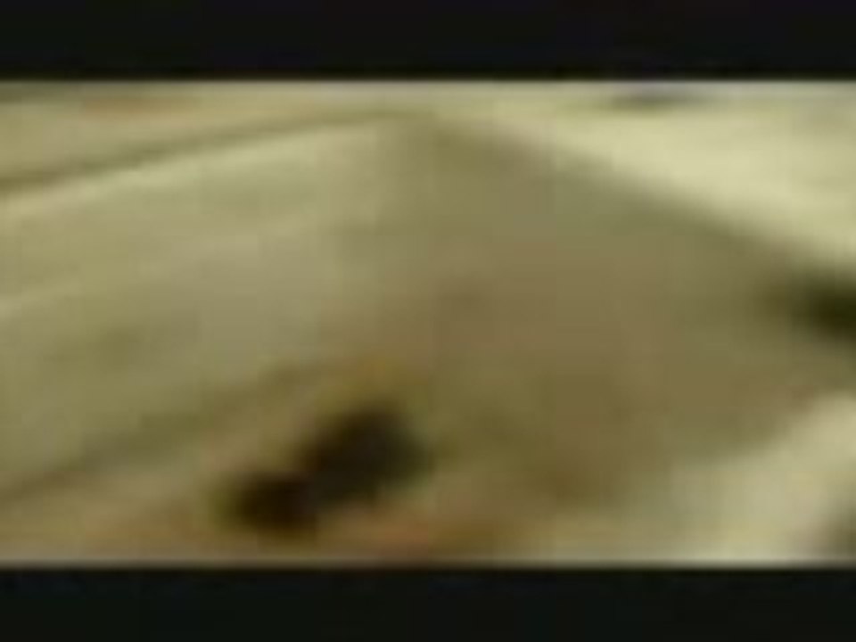 FLUVORE_glissade_dans_la_cuisine_bef1a