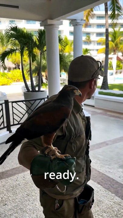 She Ignored the Recall... Then Everyone Saw Why 😂🦅
