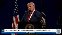 Trump independence day