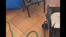 Agozzino Alfredo story con il piccolo arnold