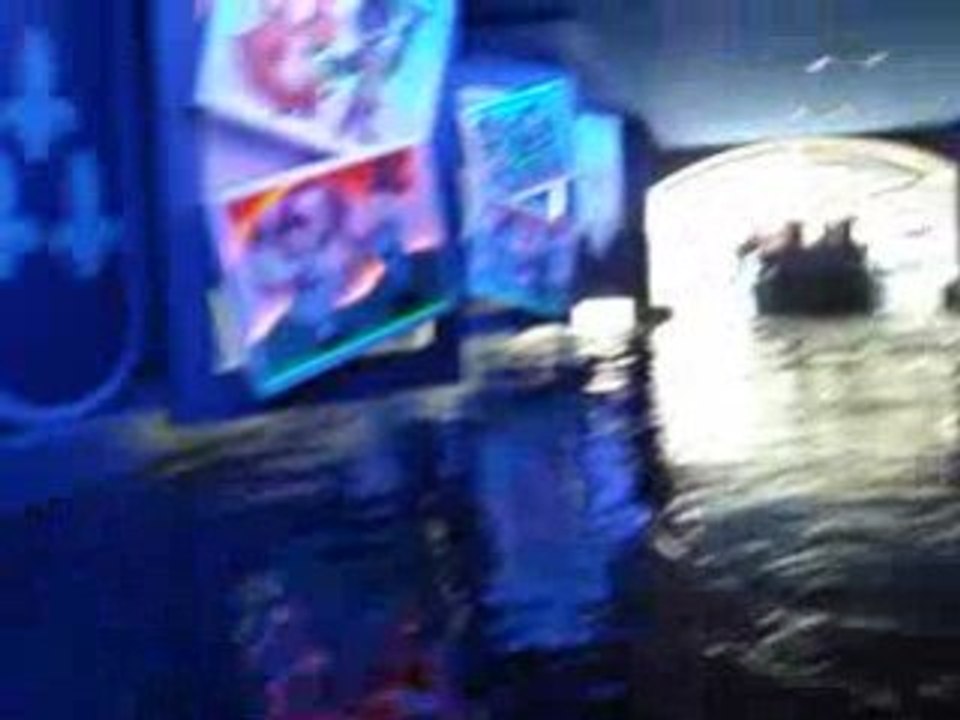 une journee a DISNEYland (partie2)