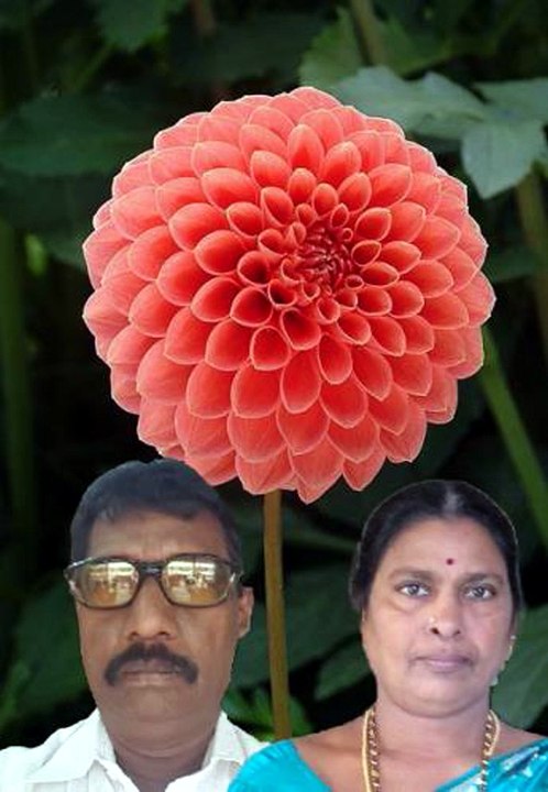 A Anuragam Aa Aanandam